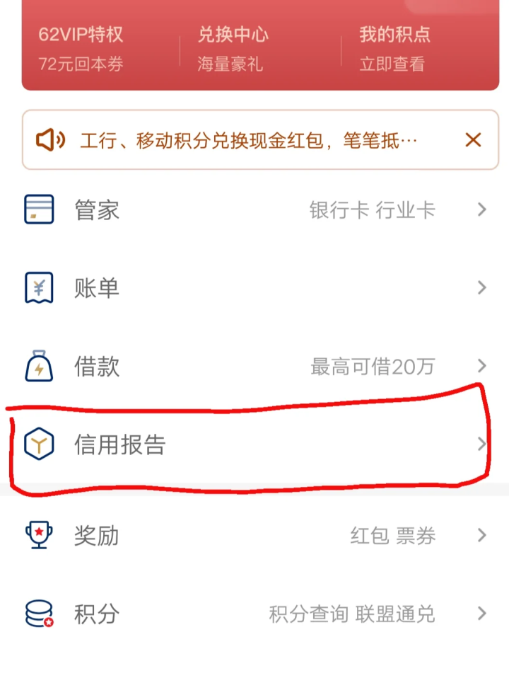 网上查征信-1